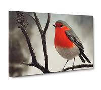 Wondrous Robin Bird Canvas Wall Art Print 30x20 Inch