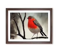 Wondrous Robin Bird Framed Print | A2 Walnut Framed Wall Art | Ready to Hang | Modern Animal Picture | Living Room Bedroom Lounge Office