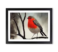 Wondrous Robin Bird Framed Print | A3 Black Framed Wall Art | Ready to Hang | Modern Animal Picture | Living Room Bedroom Lounge Office