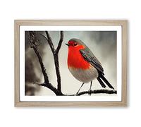 Wondrous Robin Bird Framed Print | A4 Oak Framed Wall Art | Ready to Hang | Modern Animal Picture | Living Room Bedroom Lounge Office