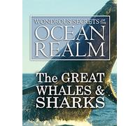 Wondrous Secrets of the Ocean Realm: The Great Whales & Sharks