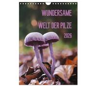 Wondrous world of mushrooms UK-Version (Wall Calendar 2026 DIN A4 Portrait), CALVENDO 12 Month Wall Calendar