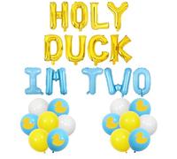 Wonmelody Duck 2nd Birthday Party Decorations Holy Duck I'm Two Decor Blue Yellow Balloon Banner Cute Ducks Cards Farm Animal Theme Happy 2nd Bday Decor for Boy Girl Blue Ducks Birthday Party