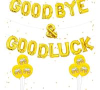 Wonmelody Farewell Goodbye And Good Luck Decorations Balloon Banner Farewell Party Decors for Retirement Party, We Will Miss You, Farewell Career Change, Going Away Party Decoration