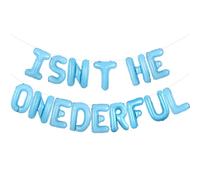 Wonmelody Hot Air Balloon 1st Birthday Decorations Boy Isn't He Onederful Birthday Decor Balloon Banner Mr Onederful Bday Decor Blue Sky Cloud and Hot Air Balloon Decor for Travel Boy 1st Bday