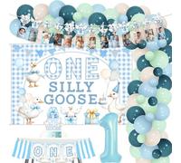 Wonmelody One Silly Goose Birthday Decor Boy Blue One Silly Goose Backdrop High Chair Banner Geese 1st Birthday Cake Topper Geese Photo Banner Dusty Blue Green Balloon Garland Arch Kit for First Bday
