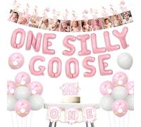 Wonmelody One Silly Goose Birthday Decor Girl One Silly Goose Balloon Banner Photo Banner Pink Gingham 1st Birthday High Chair Banner Cake Topper Funny Geese Hanging Supplies for Girl First Bday