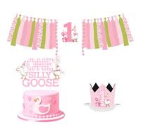 Wonmelody One Silly Goose Birthday Decor Girl One Silly Goose High Chair Banner Pink Gingham 1st Birthday Crown Little Geese Cake Topper Funny Geese Table Decor Farm Animal First Supplies for Girl