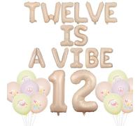 Wonmelody Twelve is A Vibe Decorations Twelve is A Vibe Balloon Banner 12th Hippie Birthday Decor Groovy 12th Birthday Decor for Girls Pink Yellow Happy 12th Birthday for Boho Hippie Birthday Party