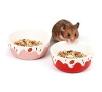 Wontee Hamster Food Bowl 2 Pack Ceramic Food Water Bowl Anti-Tipping for Dwarf Hamsters Gerbil Mice Hedgehog Guinea Pig (Red+Pink)