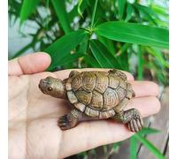 WOO MANTO Tortoise Figurine 6.5 cm Long - Small Animal Figure Made of Resin, Decorative Figure for Garden/Indoor Bottle Garden, Mini Pond