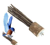 Wood Bird Perches | Birds Scrub Perch | Woods Stand Fork Toys | Wooden Pole Branch, Paw Grinding Forks Platforms For Parakeet, Conures, Budgies, Cockatiel, Cage Accessory, Pet Training (M & L