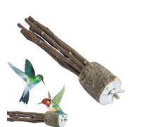 Wood Bird Perches | Birds Scrub Perch | Woods Stand Fork Toys | Wooden Pole Branch, Paw Grinding Forks Platforms For Parakeet, Conures, Budgies, Cockatiel, Cage Accessory, Pet Training (M & L
