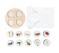 Wood Board Life Cycle Stages Cognitive Imagination Classroom for Boys Girls Type 2