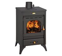 Wood Burning Stove Prity K1 R