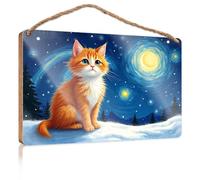 Wood Decor Sign A Fluffy Orange Cat Sits On A Snowy Hill Under A Starry Sky with Swirling Galaxies Dumb Funny Gifts Outdoor Wood Plaque Porch Signs(20X30CM)