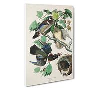 Wood Ducks by John James Audubon Canvas Print | Gallery Wrapped 30mm Frame Wall Art | 30x20 inches | Ready to Hang | Modern Landscape Picture | Living Room Bedroom Lounge Office