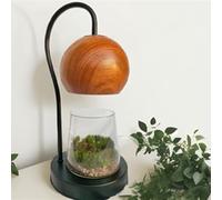 Wood Grain Terrarium Kit with LED Light - DIY Mini Glass Garden for Succulents, Moss & Ferns | Tabletop Plant Display, Home Decor & Desk Lamp | Gardening Starter Kit for Adults