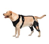 Wood Homing Dog Knee Brace for Rear Leg Support - Adjustable Canine Hinged Back Leg Support Warp with Hip Joint Care Reflective Strap Harness for ACL Arthritis Relief Patellar Luxation Injured Dog (M)