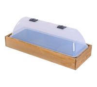 Wood Indoor Greenhouse Growing House Greenhouse Pflanzenzucht Maxi 56×22×22 CM