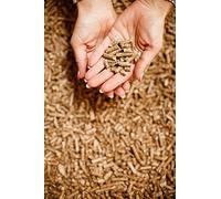 Wood Pellets Cat Litter - 30L Big Pack - Cat Litter for Kittens - Premium Biodgredeable Virgin Pine Wood Pellets for House Training - Superior Absorbent - Eco Friendly - Non Toxic%100 Natural