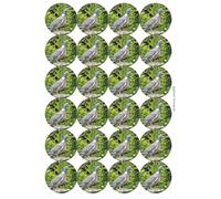 Wood Pigeon Circular Matt Paper Stickers A4 Sheet of 24 (Each Sticker is 45mm Diameter)