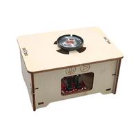 Wood Recorder Assembly Experimental Equipment Kid Student Science Education Scientific Training Craft Toy Gramophone