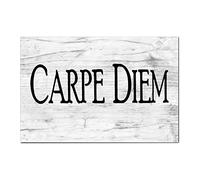 Wood Signs Carpe Diem Seize The Day Wood Plaque with Funny Sayings Motivational Wall Art Rustic Wall Decorations for Living Room Kitchen Wall Hanging Signs Wall Sign Home Decor 8x12in