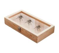 Wood Specimen Display Case - Specimen Box Wood, Earrings Display Case Box with Clear Top Storage | Decorative Jewelry Storage, Wooden Keepsake for Collecting