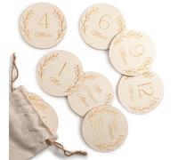 Wood You Buy Wooden Baby Milestone Cards, Baby Shower Card, Monthly Milestone Disks, Newborn Photo Props, Hello World Birth Announcement, My First Year (1-12 Months), 14pcs, Many Languages