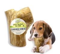 Woodbone Coffee Tree Root Dog Chew for Small Dogs - Natural Wood Dental Chewing Toy - Size S