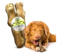 Woodbone Knots Coffee Wood Dog Chew Toy for Medium Dogs - Natural Wood Knots Branch Chewing Stick - Pack of 2 Size M