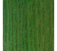 WooDeeDoo Water Based Wood Stain | Wood Dye | Ready to Use | Environmentally Friendly | Solvent Free | Odour Free | 2 L | Green