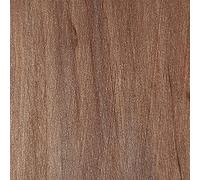 WooDeeDoo Water Based Wood Stain | Wood Dye | Ready to Use | Environmentally Friendly | Solvent Free | Odour Free | 5 L | Beige