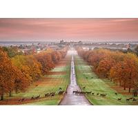 Wooden 1000 Piece Jigsaw Puzzle, England Windsor Castle Park Deer Panorama Puzzle Wall Decoration 75X50Cm