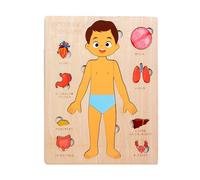 Wooden Anatomy Puzzle, Human Body, Interactive Learning Sturdy Build Portable Lightweight Compact Stable Case, Educational Body Parts for Kids Home School, 8.98x7.09x0.39Inches