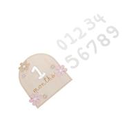Wooden Baby Monthly Marker Sign for Newborn Photo Display