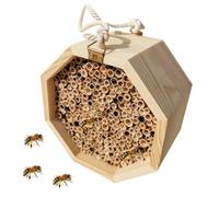 Wooden Beehive Assembly - Mating Box For Honeybees | Beekeeper Hive, Beekeeping Station For Garden Balcony Backyard Outside Patio