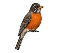 Wooden Bird Corner Statue Lifelike Door Frame Decor Realistic for perch for sculpture Nature Home Accent 15cm Height Multicolor(D)