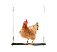 Wooden Chicken Toy, Climbing Grinding Accessory, Rooster Swing with Sturdy Construction, Farm Enrichment Tool, Animal Habitat Accessory with Quick Setup, Fun Activity for Orchard Garden Backyard