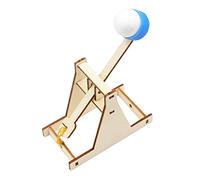 Wooden Construction Kit Science DIY Educational Building Toys Mechanical Engineering Models for Kids and Adults (Multicolor, One Size)
