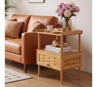 Wooden End Table Rattan Front Storage Cabinet Walnut Bedside Unit