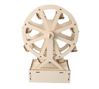 Wooden Ferris Wheel Science Kits for Kids - DIY STEM Engineering Projects, Creative Science Experiments Educational Toys for Boys & Girls Age 8 9 10 11 12 13 14 to Build & Learn at Home or School