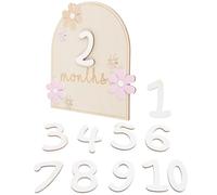 Wooden Growth Record Card for Newborn, First Year | Cute Daisy Design, Wood Material, Photo Prop for Parents, Memorable Keepsake, Monthly Record Set