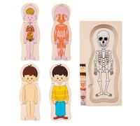 Wooden Human Body Puzzle - Educational Anatomy Learning Board, Layered Skeleton Organs Muscles Body Parts Study Model | Interactive Science Toy For Kids Classroom Study Activity