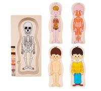 Wooden Human Body Puzzles Anatomy Learning Organ Recognition Educational | Educational Human Anatomy Body Puzzles for Boys Girls Children Preschool Kids Classroom Homeschool Learning Activity