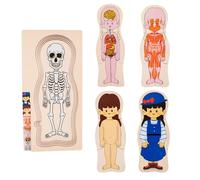 Wooden Human Body Puzzles - Anatomy Learning Puzzle, Interactive Skeleton Toy | Educational Model For Kids, Promotes Understanding Of Organs, And Systems, Perfect STEM Activities Home Study
