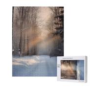 Wooden Intelligence Puzzle 38x52 CM, Wandering in the winter light Printed Jigsaw Puzzles 500 Pieces(boxed) Education Game for Adults, Home Decoration Puzzle