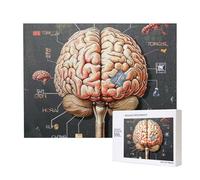 Wooden Intelligence Puzzle 52x38 CM, Human Brain Printed Jigsaw Puzzles 500 Pieces(boxed) Education Game for Adults, Home Decoration Puzzle