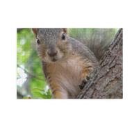 Wooden Jigsaw Puzzle 1000-Piece in Box, Squirrel in The Tree Prints Eco-Friendly Educational Puzzle for Family Fun & Adult Relaxation, 75x50 CM